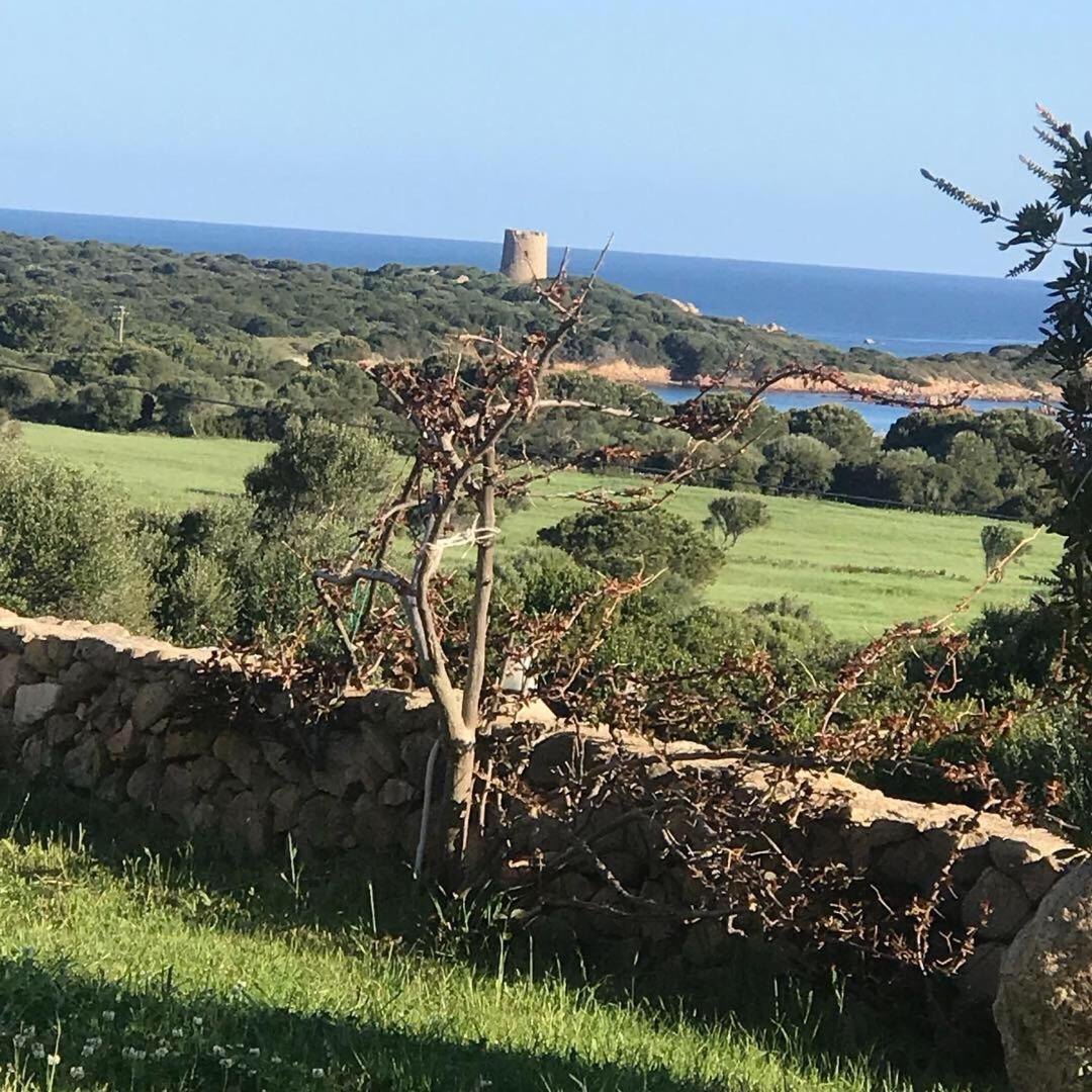 Stazzo La Foci Soluzioni Vista Mare Villa Aglientu Luaran gambar
