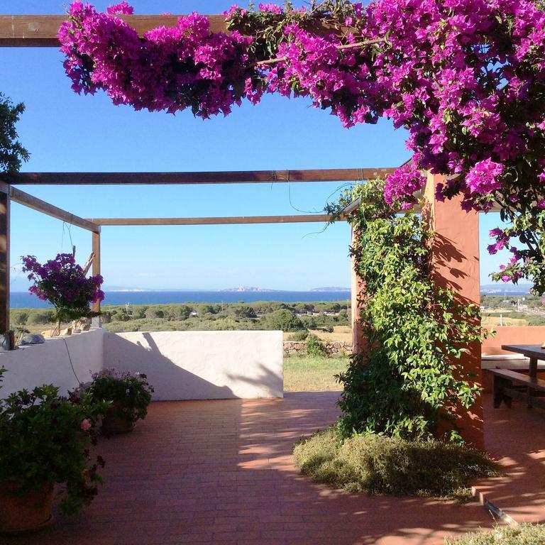 Stazzo La Foci Soluzioni Vista Mare Villa Aglientu Luaran gambar